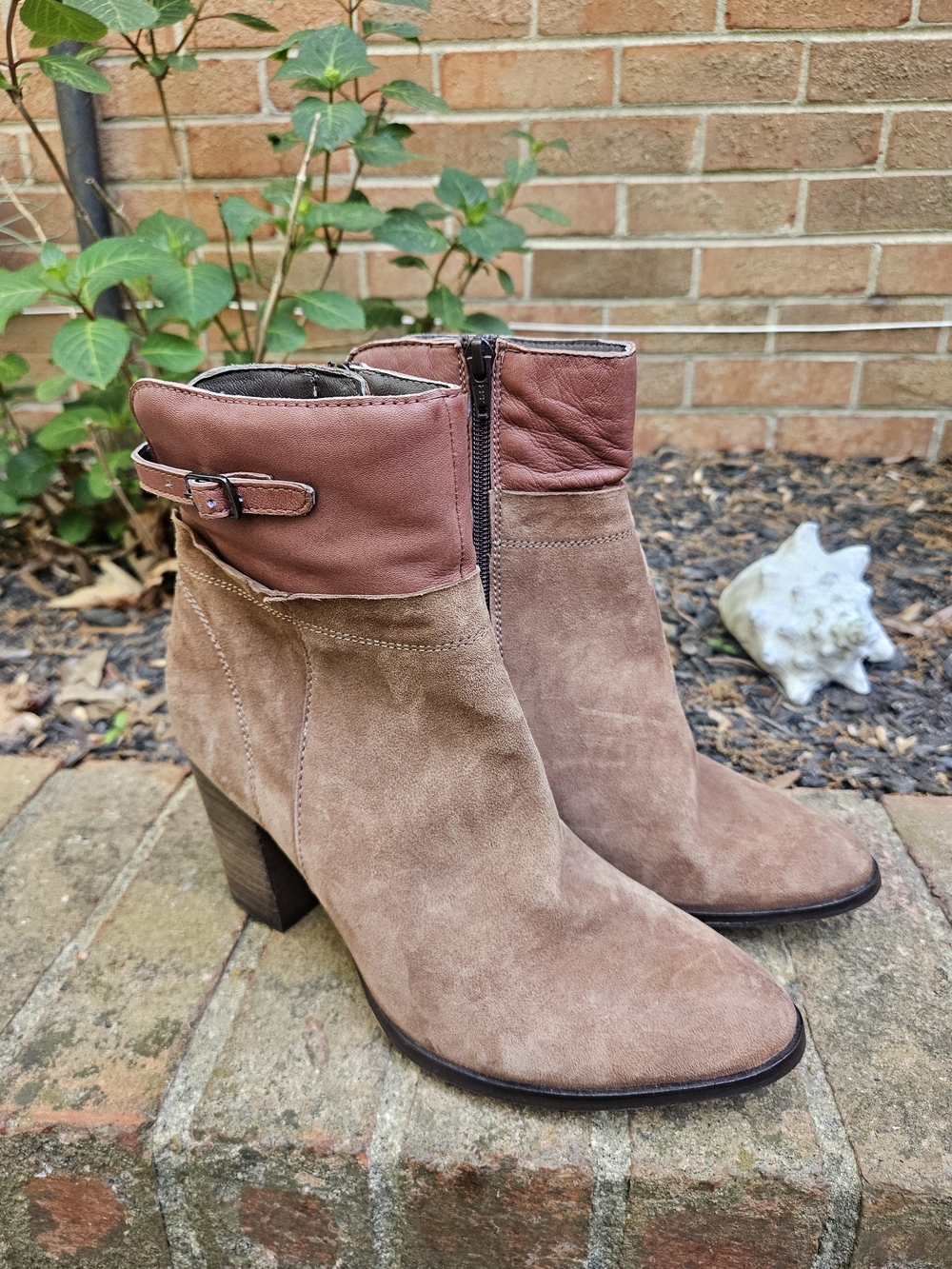 Seychelles Fascinate Tan And Oxblood Leather/Suede Womens Ankle Boots Size 8